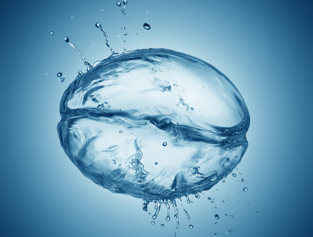 Entkoffeinierter Kaffee & Espresso