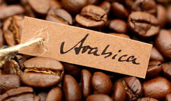 Arabica-Bohnen1nUDr6A1QfjtTM