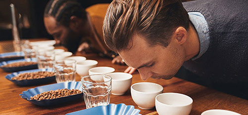 Getting to know coffee Studying coffee